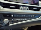 Used 2021 Lexus ES 300h w/ Premium Package image 5