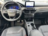 Used 2020 Ford Escape Titanium image 4