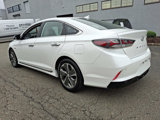 Used 2019 Hyundai Sonata Limited image 5