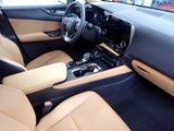 Used 2024 Lexus NX 350 AWD w/ Cold Area Package image 6