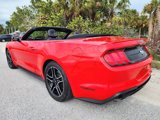 Used 2018 Ford Mustang Premium w/ Equipment Group 201A image 6