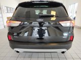 Used 2020 Ford Escape SEL image 3