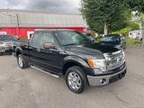 Used 2013 Ford F150 XLT w/ XLT Chrome Pkg image 3