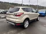 Used 2018 Ford Escape SEL image 3