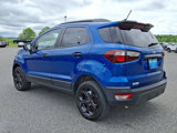 Certified 2021 Ford EcoSport SES image 4