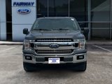 Used 2019 Ford F150 XLT w/ Equipment Group 302A Luxury image 2