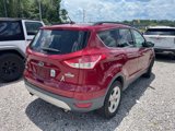 Used 2016 Ford Escape SE w/ Equipment Group 201A image 4
