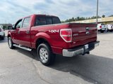 Used 2013 Ford F150 XLT w/ Luxury Equipment Group image 3