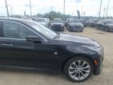 Used 2023 Cadillac CT5 Premium Luxury w/ Climate Package image 4