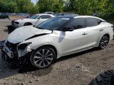 Used 2023 Nissan Maxima Platinum w/ Sport Mat Group image 2