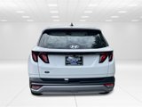 Used 2021 Hyundai Kona SEL Plus image 6
