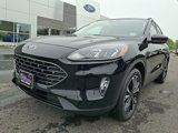 Certified 2022 Ford Escape SEL w/ SEL Stealth AWD Package image 4