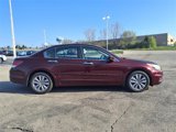 Used 2011 Honda Accord EX-L image 2