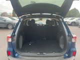 Used 2020 Ford Escape SE image 5