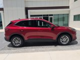 Used 2020 Ford Escape SE image 4