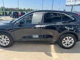 Used 2023 Ford Escape Active w/ Tech Pack #2 image 3
