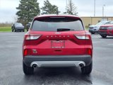 Used 2022 Ford Escape SEL w/ Technology Package image 6