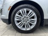 Used 2019 Cadillac XT5 Premium Luxury image 4
