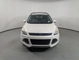 Used 2014 Ford Escape SE w/ Equipment Group 201A image 2