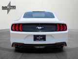 Used 2019 Ford Mustang Coupe image 4