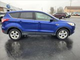 Used 2014 Ford Escape SE image 5