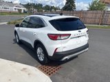 Used 2020 Ford Escape SE image 5