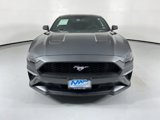 Used 2019 Ford Mustang Coupe w/ Ecoboost Performance Package image 2