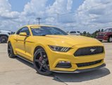 Used 2015 Ford Mustang Premium w/ 50 Years Appearance Package image 5