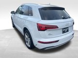 Certified 2021 Audi Q5 2.0T Premium Plus w/ Premium Plus Package image 6