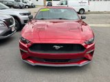 Used 2020 Ford Mustang Coupe w/ Equipment Group 101A image 6