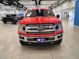 Used 2018 Ford F150 XLT w/ Equipment Group 302A Luxury image 3