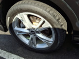 Used 2021 Audi Q3 2.0T Premium Plus w/ Premium Plus Package image 3