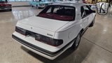 Used 1988 Ford Thunderbird image 4