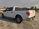 Used 2014 Ford F150 XLT w/ XLT Chrome Package image 6