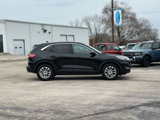 Used 2022 Ford Escape SE w/ Cold Weather Package image 2