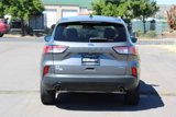 Used 2022 Ford Escape SE w/ SE Sport Appearance Package image 5