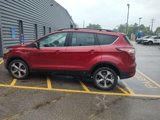 Used 2017 Ford Escape SE w/ Equipment Group 201A image 3