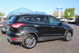 Used 2015 Ford Escape SE w/ SE Chrome Package image 4