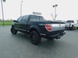 Used 2014 Ford F150 Platinum image 6