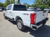 Certified 2024 Ford F250 XLT image 3