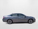 Used 2017 Honda Accord EX-L image 4