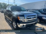 Used 2013 Ford F150 XLT w/ Luxury Equipment Group image 4