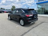 Used 2020 Ford Escape SE image 3