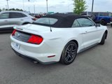 Used 2022 Ford Mustang Premium image 3