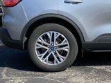 Certified 2022 Ford Escape SEL image 3