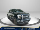 Used 2016 Ford F150 XLT w/ Equipment Group 302A Luxury image 3