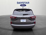 Used 2024 Ford Escape ST-Line w/ Tech Pack #1 image 5