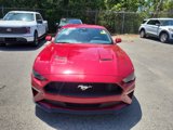 Used 2021 Ford Mustang Premium w/ Equipment Group 201A image 2