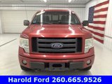 Used 2010 Ford F150 FX4 image 2