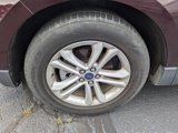 Used 2019 Ford Edge SEL w/ Equipment Group 201A image 5